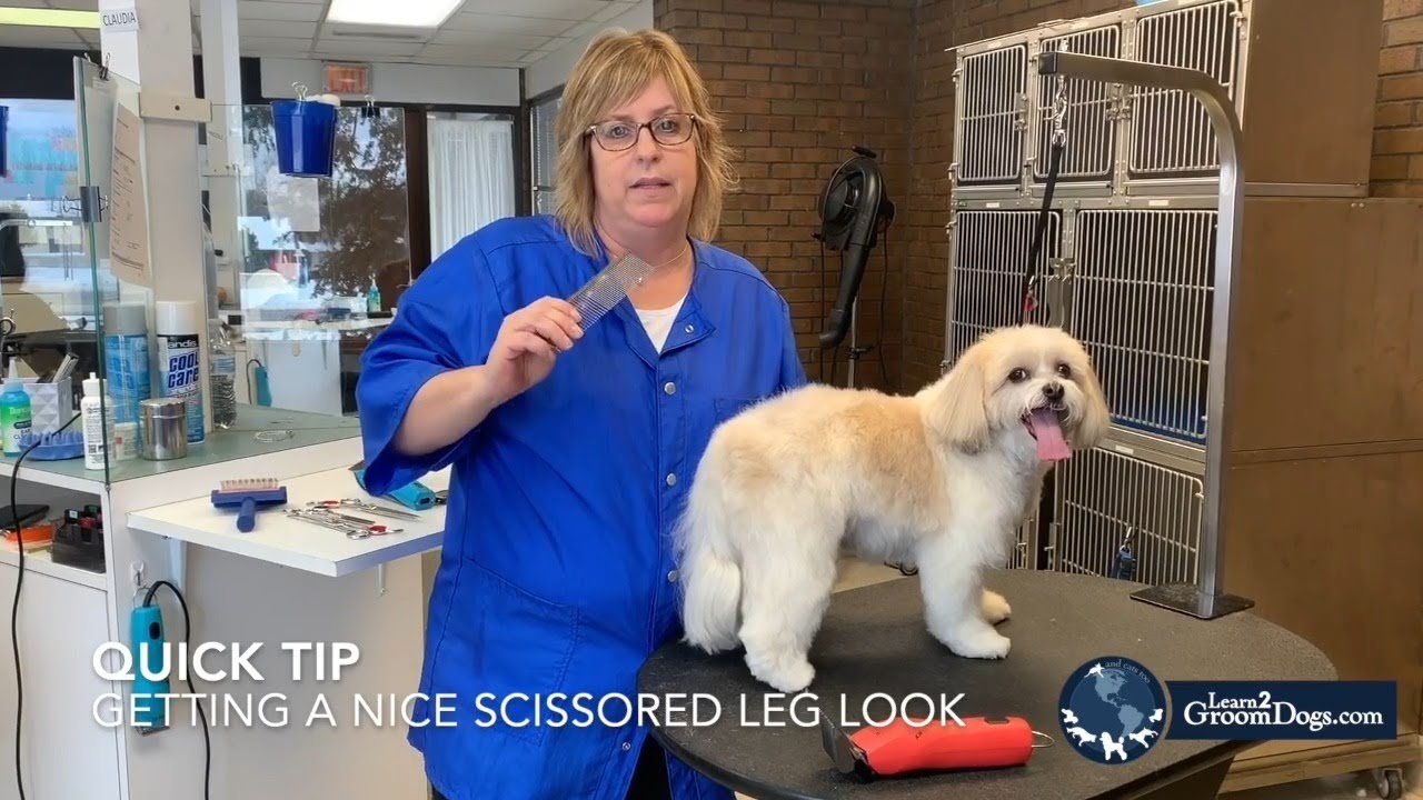 Quick Tip - Scissored Leg