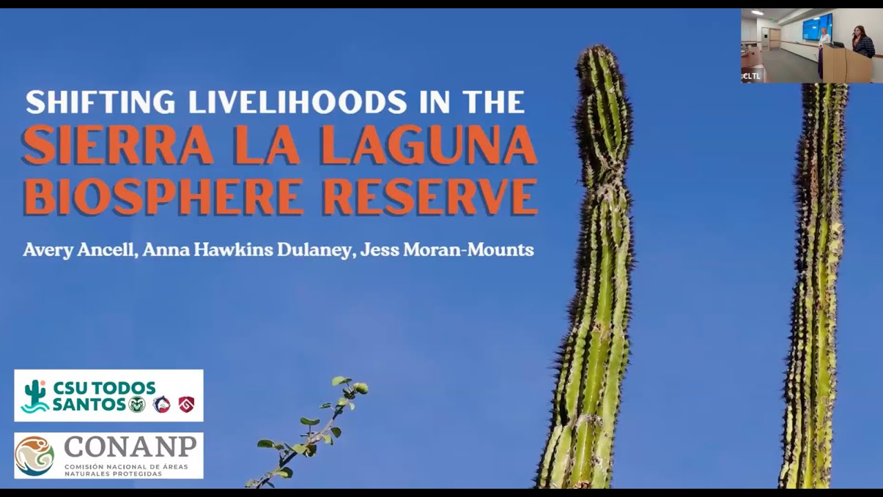 CLTL 14 Capstone Presentation | Avery Ancell, Anna Hawkins Dulaney, and Jess Moran-Mounts