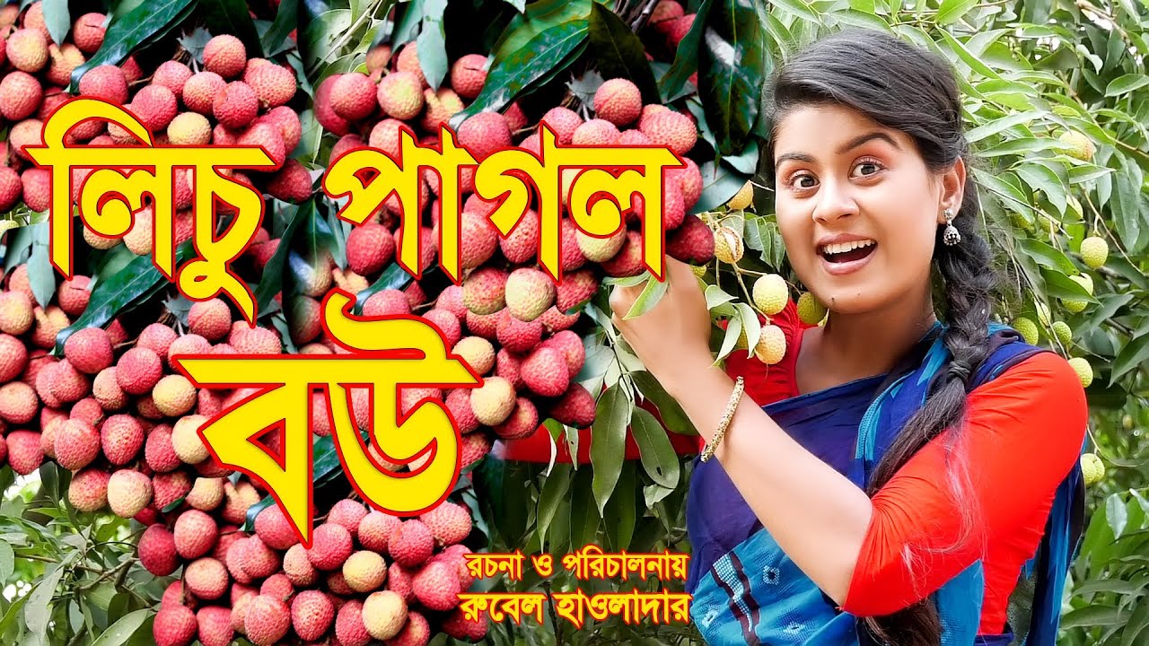 lichu pagol bou লিচু পাগল বৌ | অথৈর নাটক কমেডি |rubel hawlader   othoi natok 2023 SOHEL DRAMA BANGLA