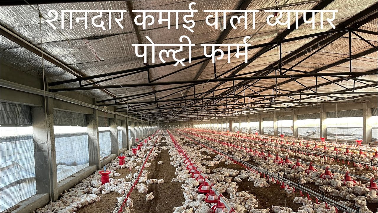 Visit to a fully automated Poultry Farm in Sangrur, Punjab.