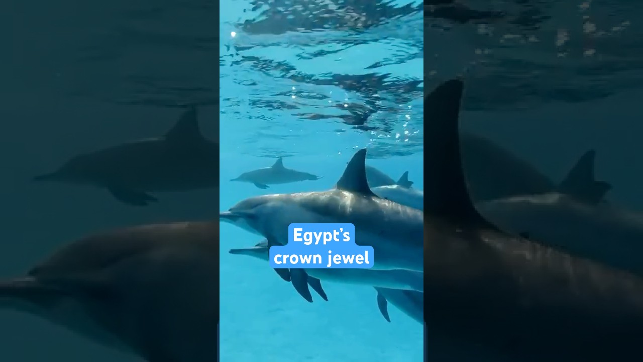 Where Two Seas Collide - Ras Muhammad National Park Egypt | Epic Red Sea Diving