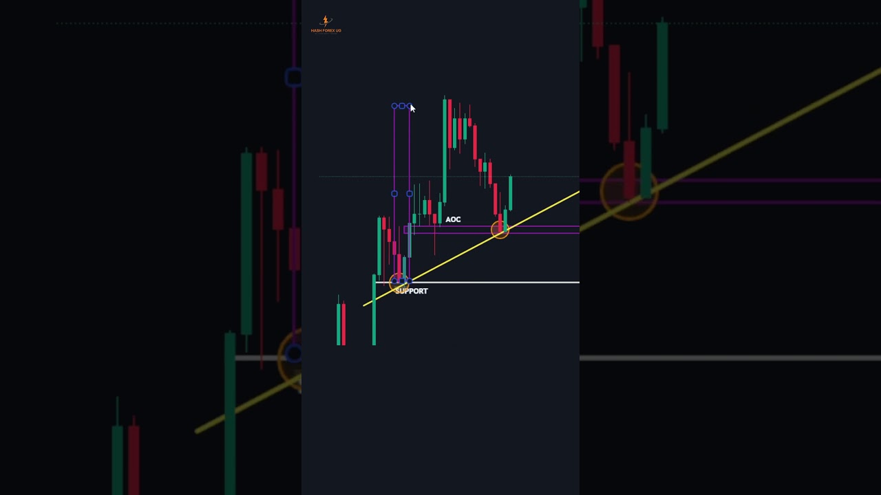 The Best Forex Trading Tips for Beginners