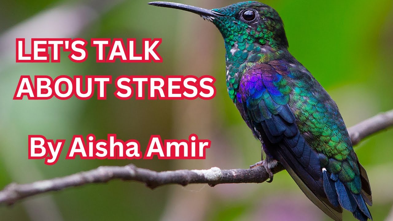 LET'S TALK ABOUT STRESS by Aisha Amir🌺 #trending #aiashaamir #stressrelief #islamicbayan #islam #yt