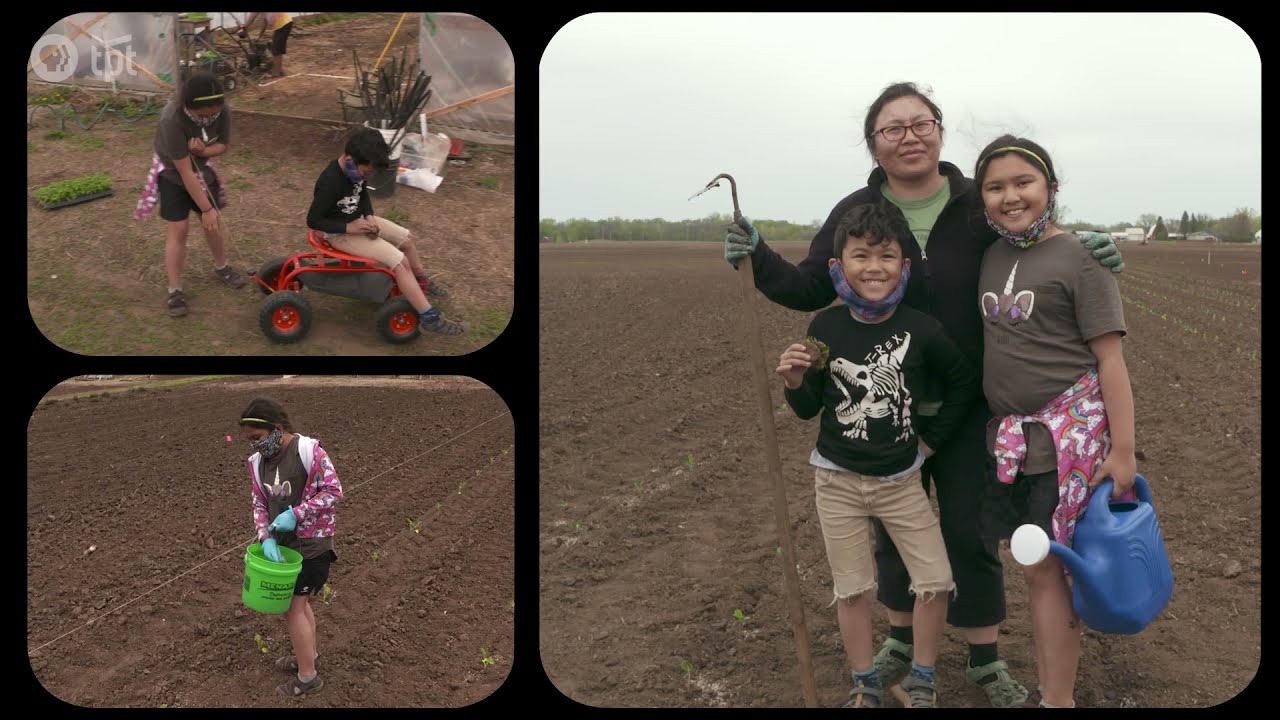 Immigrant Farmers: Hmong and Somali Perseverance