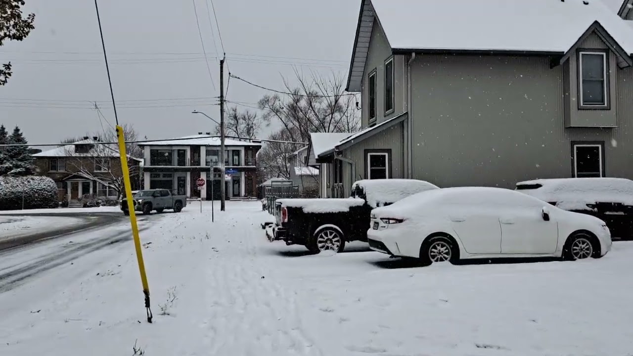 Part 4 of my winter walk.