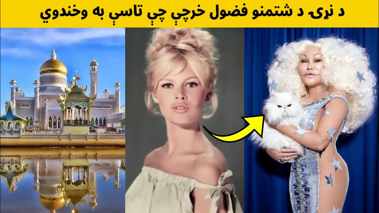 جالب معلومات || د نړۍ د شتمنو خلکو داسې فضول خرچي چې تاسو شاېد وخندوي