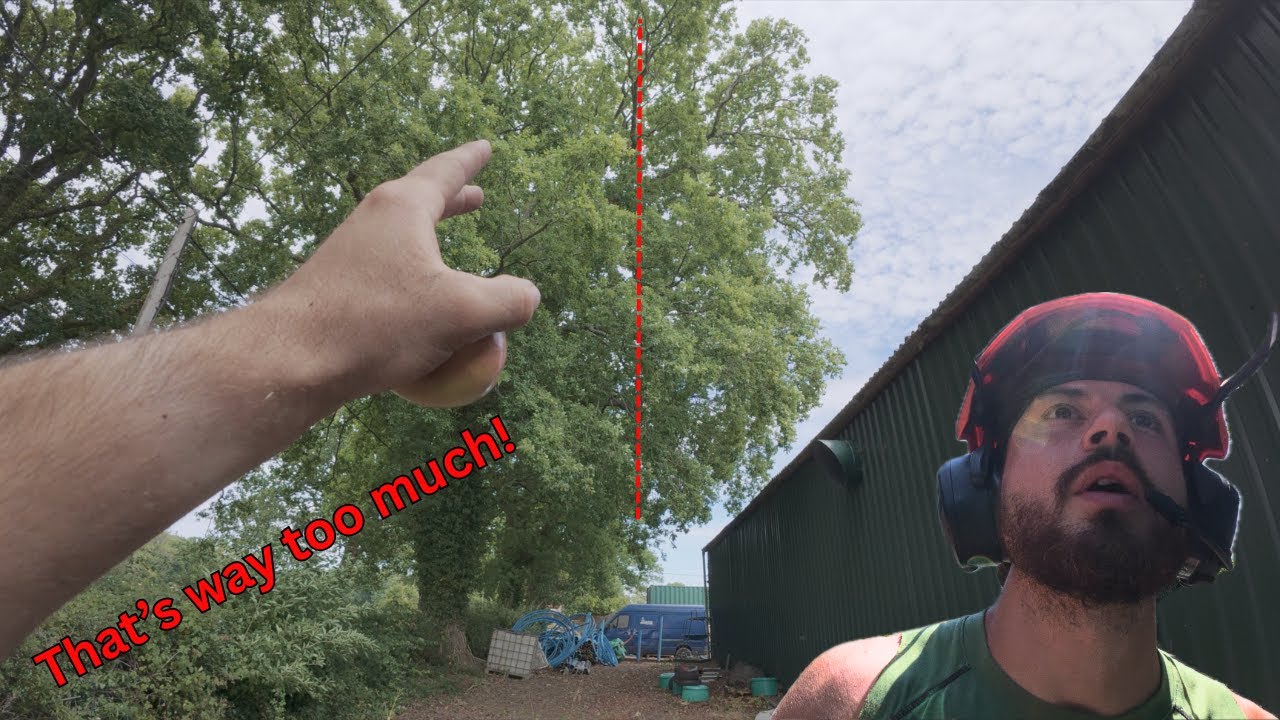 The yard owner made us cut his trees!!!