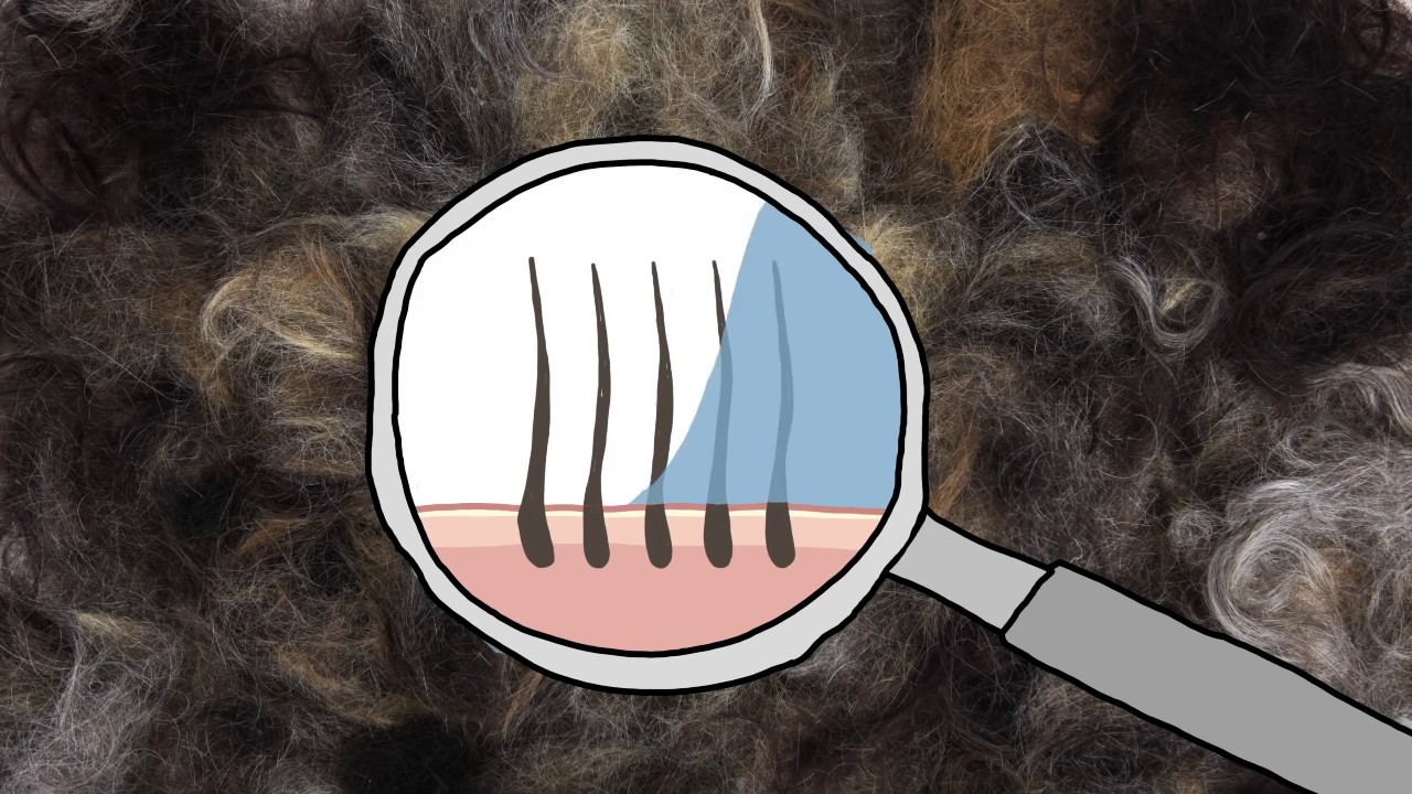 Stop using shampoo #storyhopper