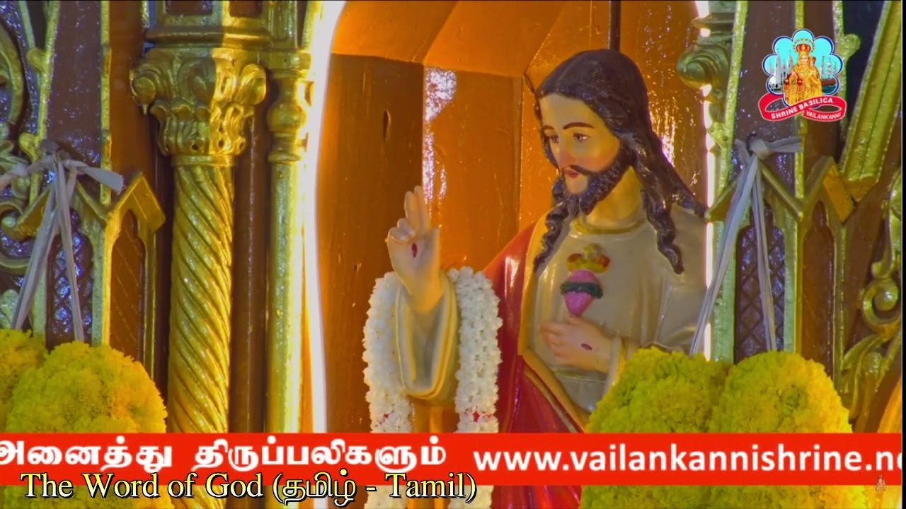 பல்லவி: ஆண்டவரே, உமது பேரன்பு எங்கள்மீது இருப்பதாக!