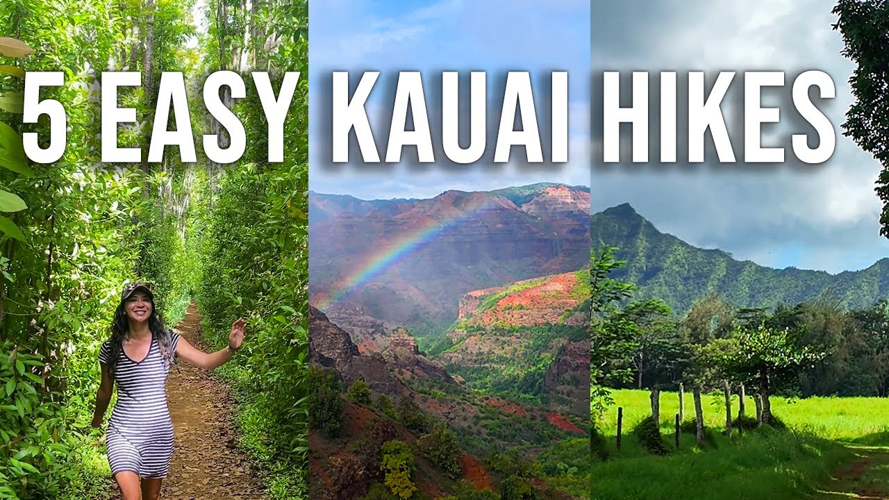 Top 5 Easy Hikes on Kauai | Family Friendly & Scenic Trails