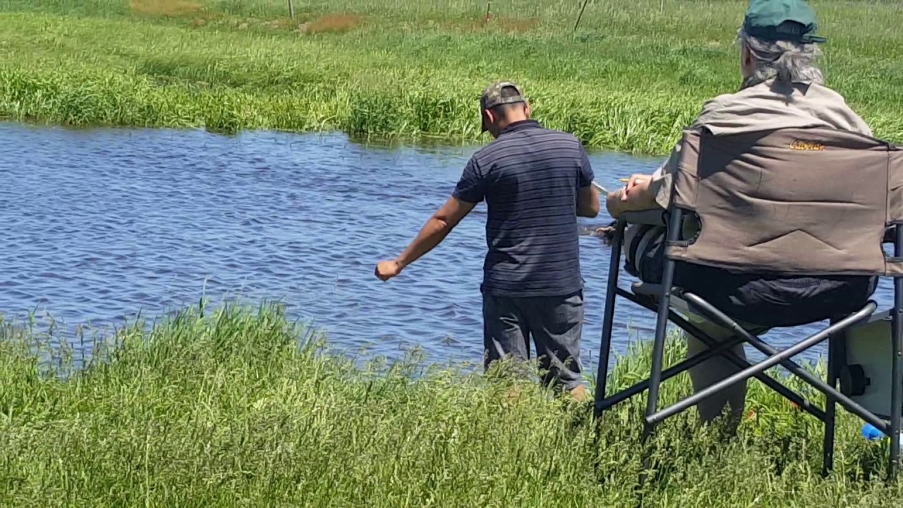 Akc JR hunt test water series