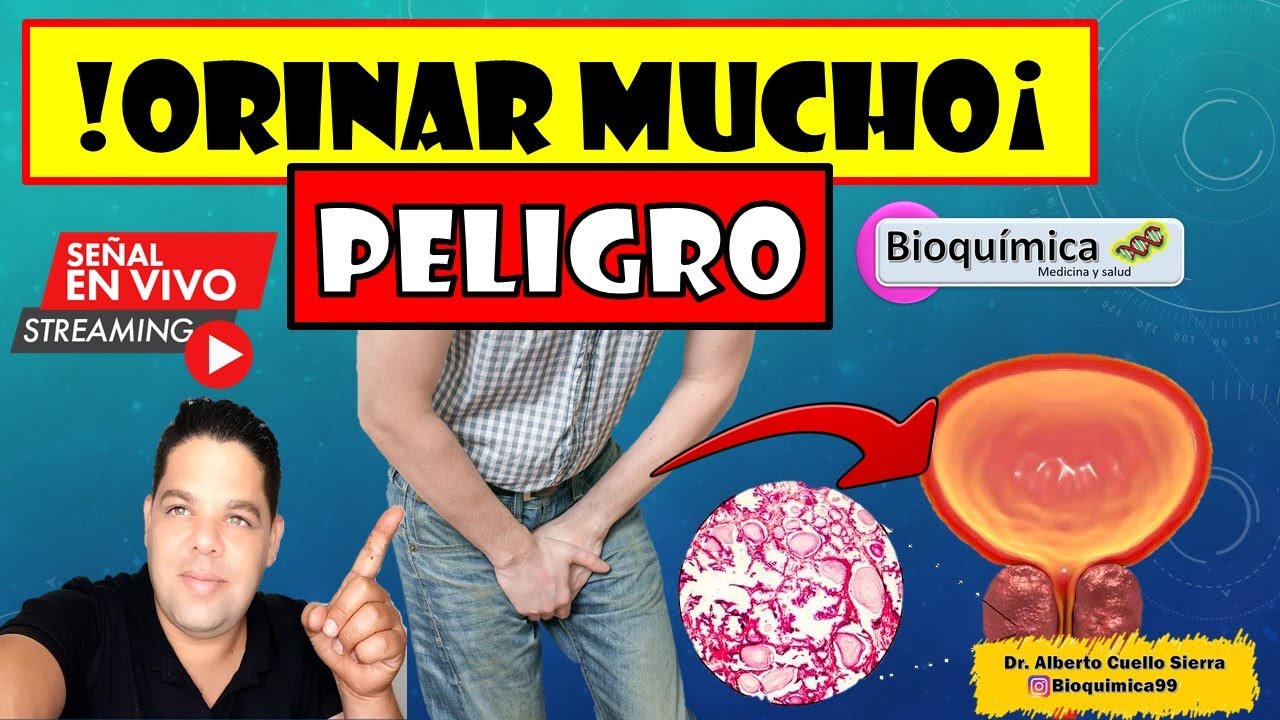 ALERTA MICCIÓN EXCESIVA! ORINAR MUCHO por DÍA puede SER PELIGROSO, ORINO DEMASIADO.