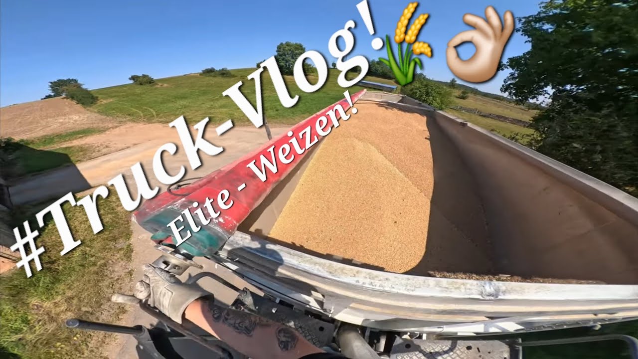 Truck-Vlog: Elite Weizen🌾 laden bei Jena für AGRAVIS Ost in Bülstringen 4k UHD 