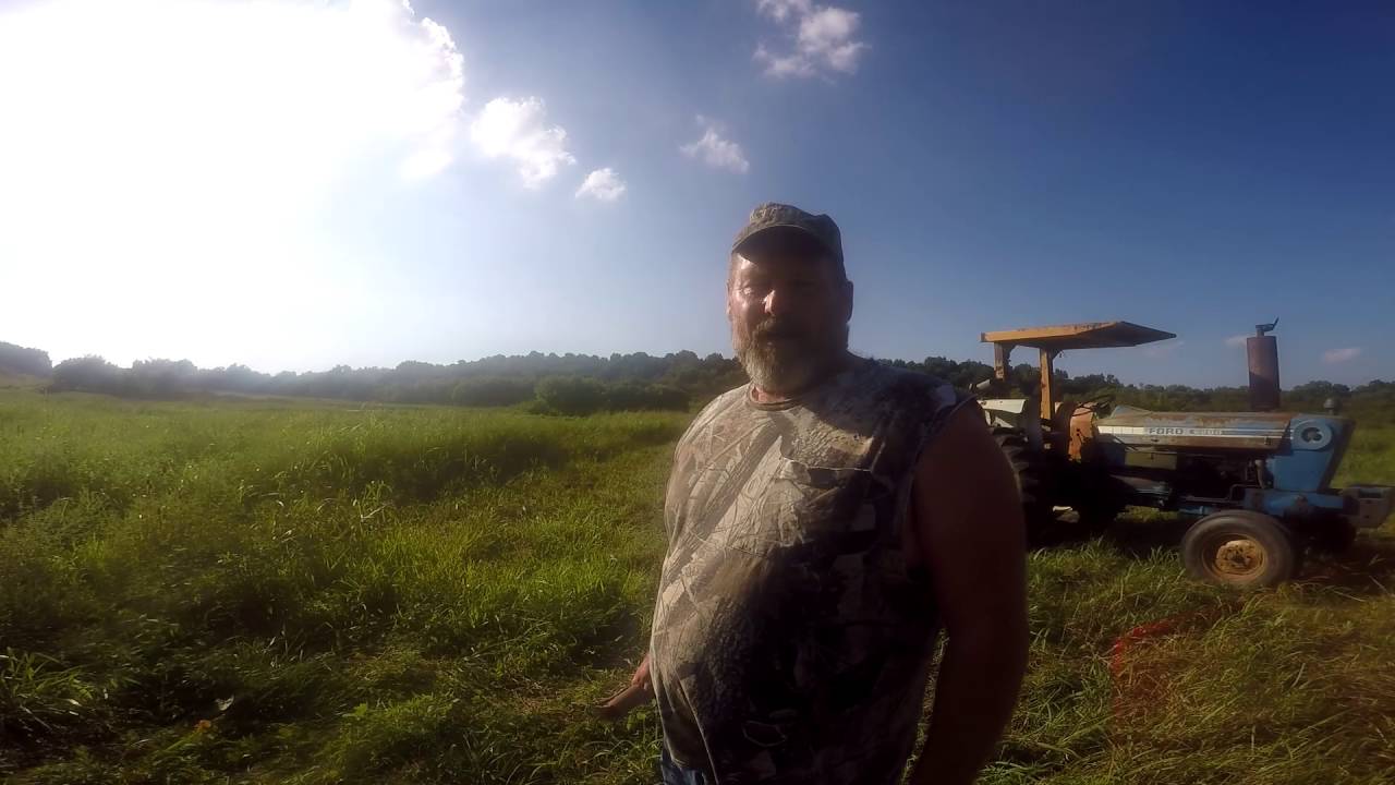 No more coon corn on the homestead