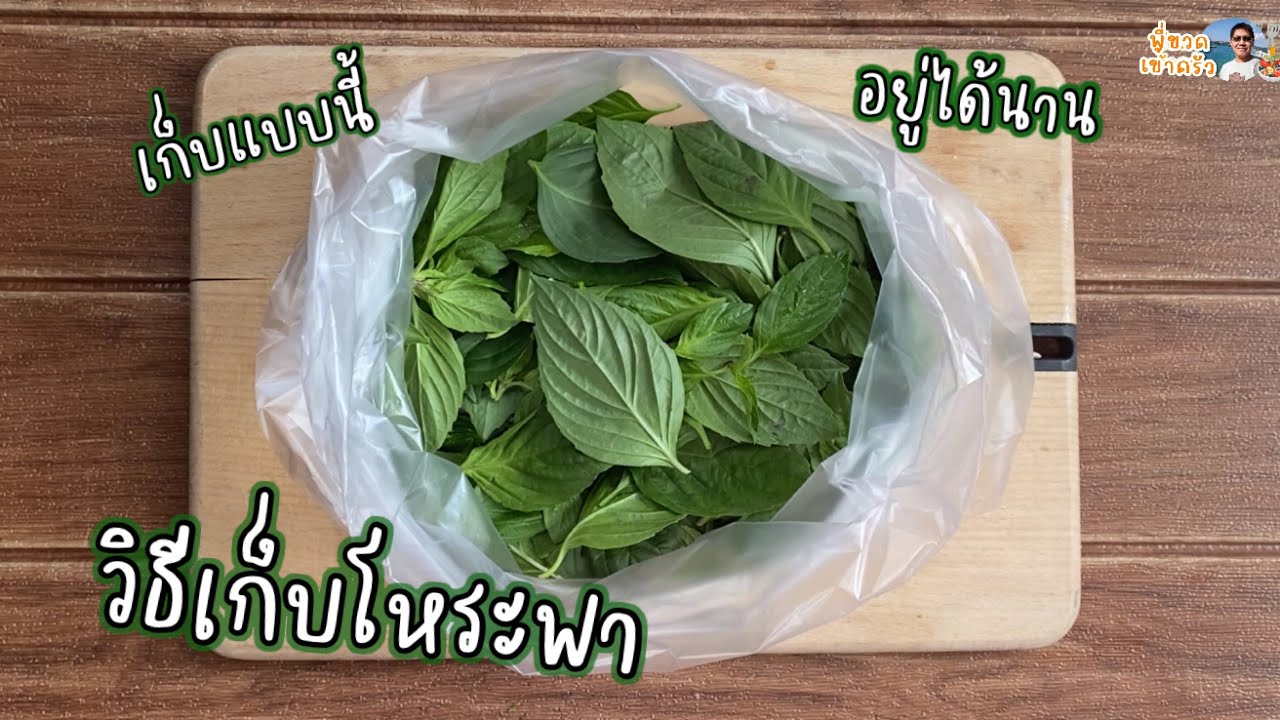 วิธีเก็บใบโหระพาให้อยู่ได้นาน แค่ทำแบบนี้ ไม่เหี่ยว กลิ่นหอมเหมือนเดิม