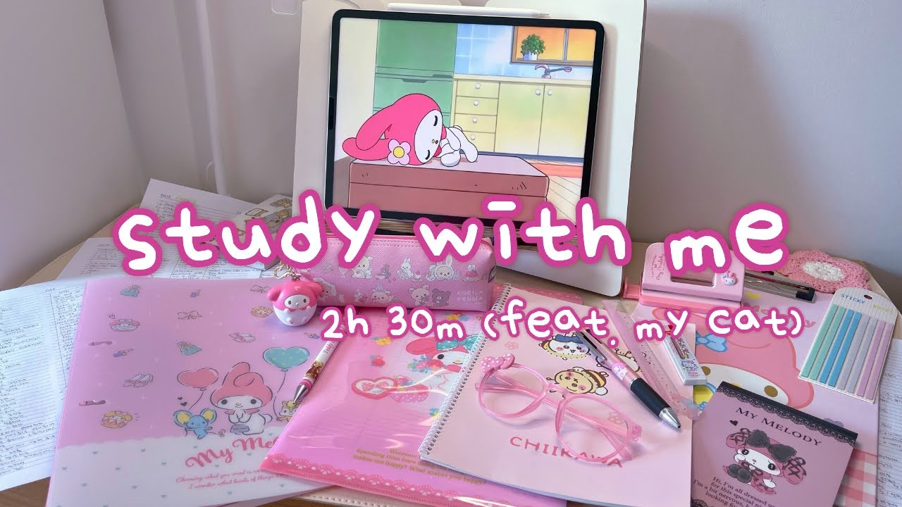 스터디윗미 2시간 30분 (feat. 고양이) | 2h 30m Study with Me & My Cat | Fire Crackling Sounds