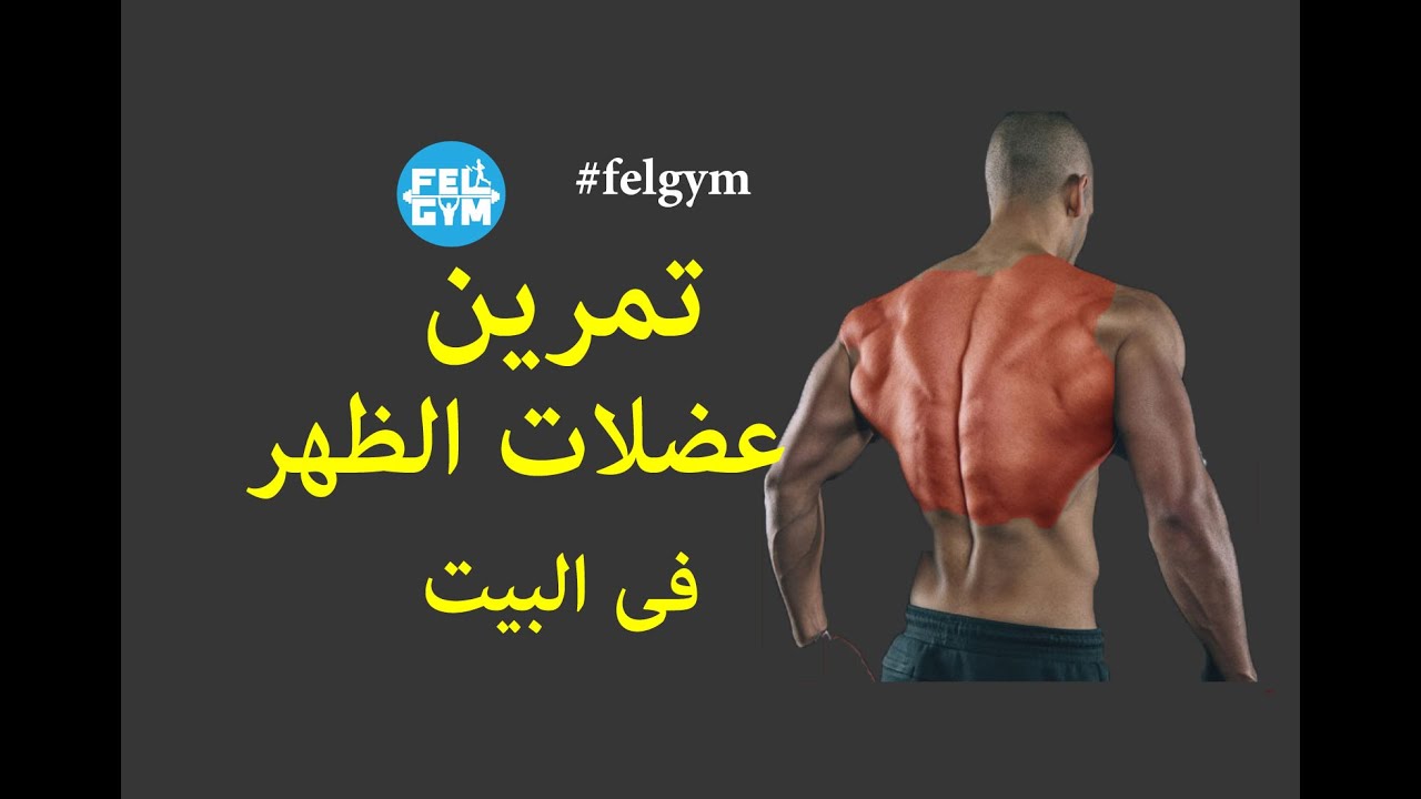 تمرين عضلات الظهر فى البيت | Back home training
