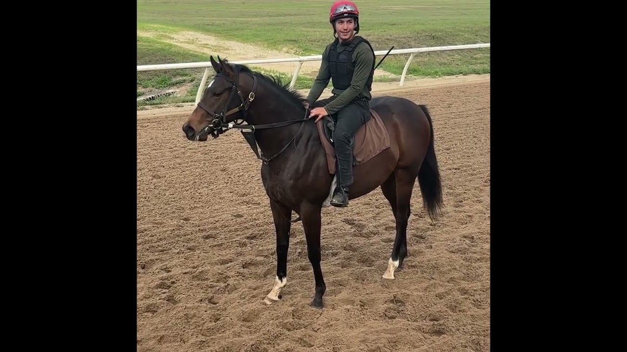 Chapman 3/9 in Ocala