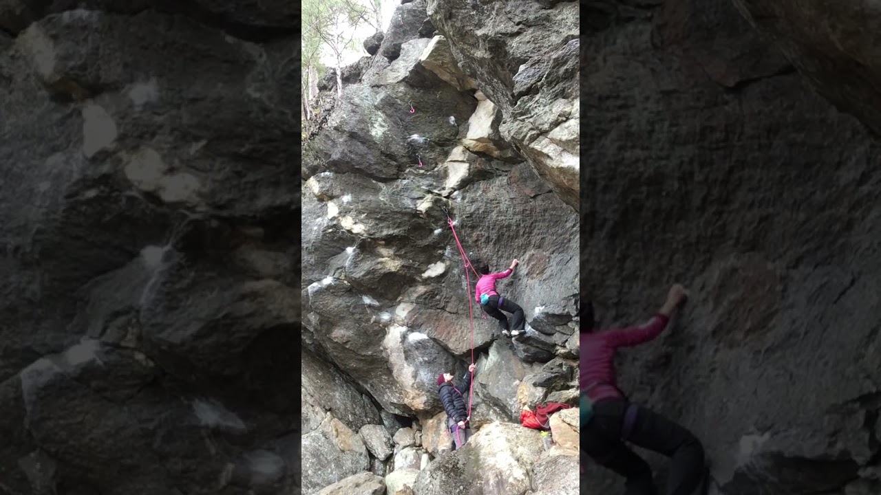 Torie sending Pulse 5.11d