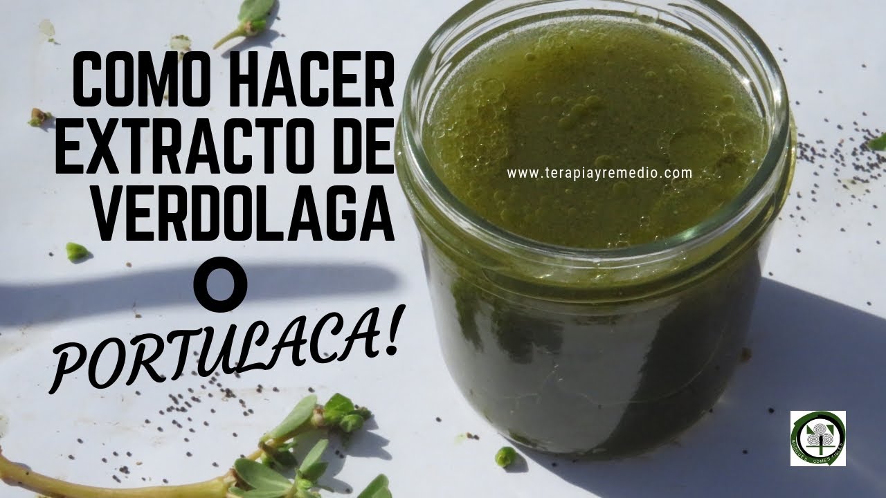 EXTRACTO DE #VERDOLAGA | RED DE BOSQUES COMESTIBLES Y SEMILLAS LIBRES