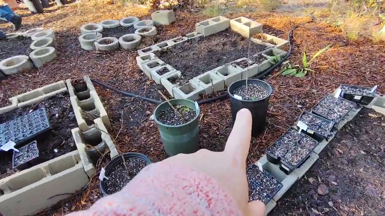 Officially started our 2026 garden ♥️