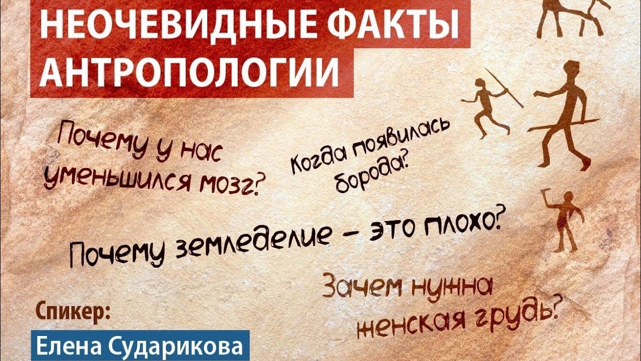 Елена Сударикова: неочевидные факты антропологии