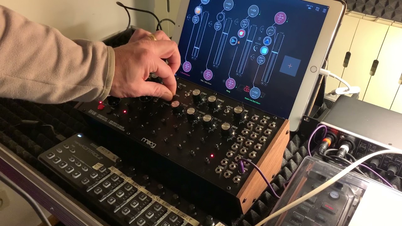 #moog #dfam Techno kick loop (patch) by Alex Fain