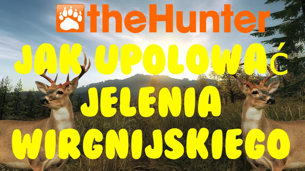 TheHunter  Poradnik jak upolować pierwszego jelenia Wirginijskiego