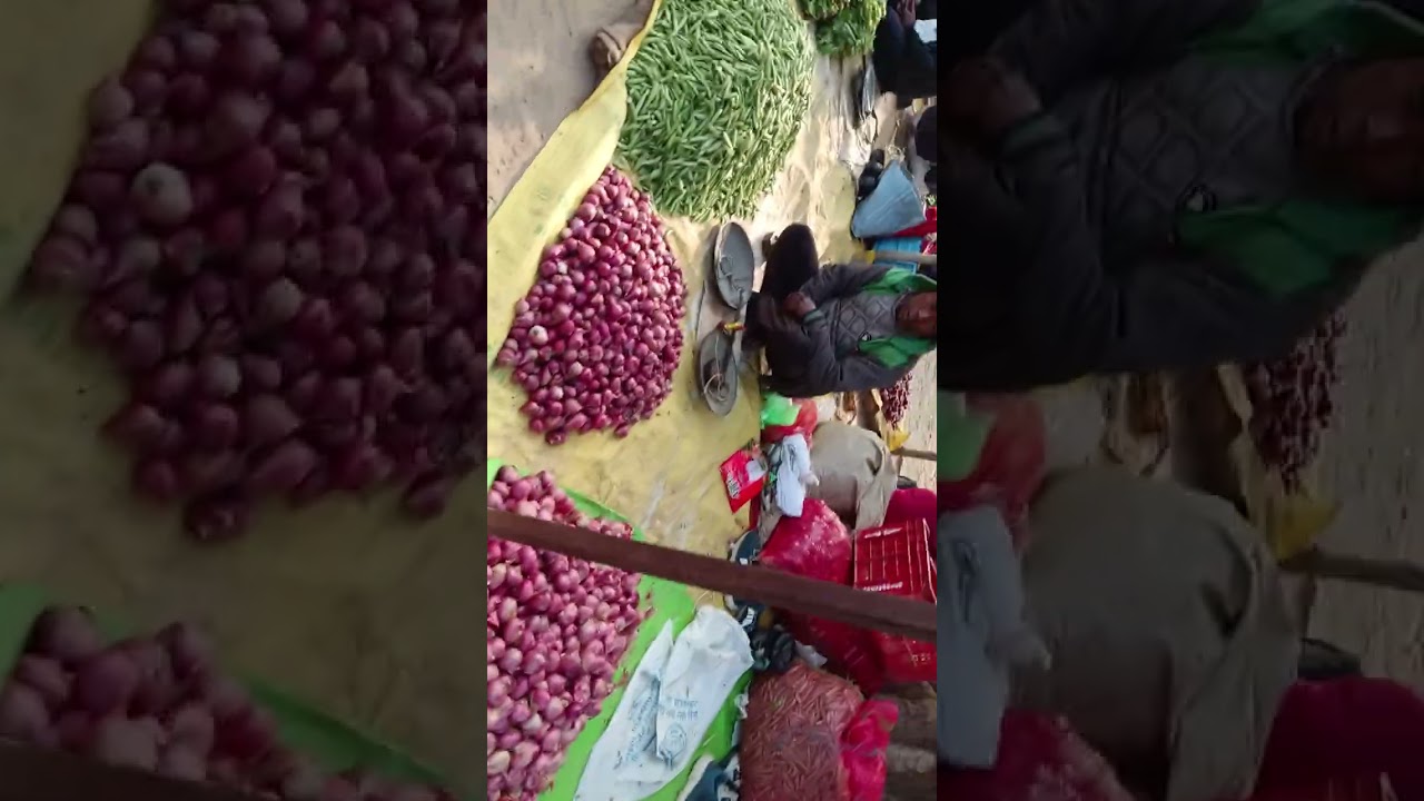 Hamare Raniganj market ka n💚💚🫶🥰🫛🫑🍆🥬🍅🍎ajara 🙏#bolleywoodsong #arvindakrlakallulive #song #dance 