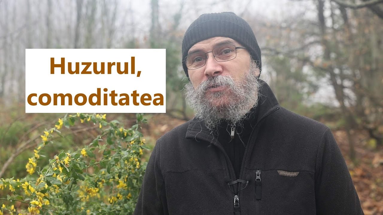 Huzurul, comoditatea - p. Teologos