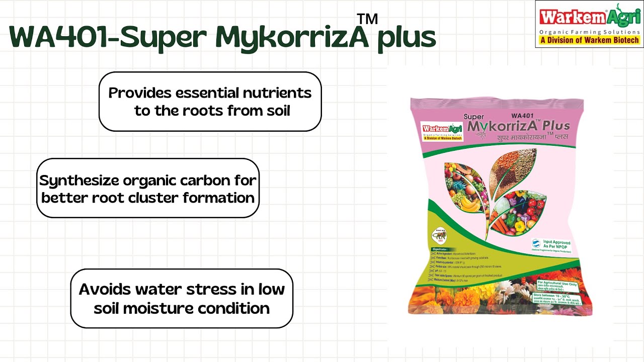 Super Mykorriza™ Plus | Warkem Biotech | Organic Farming