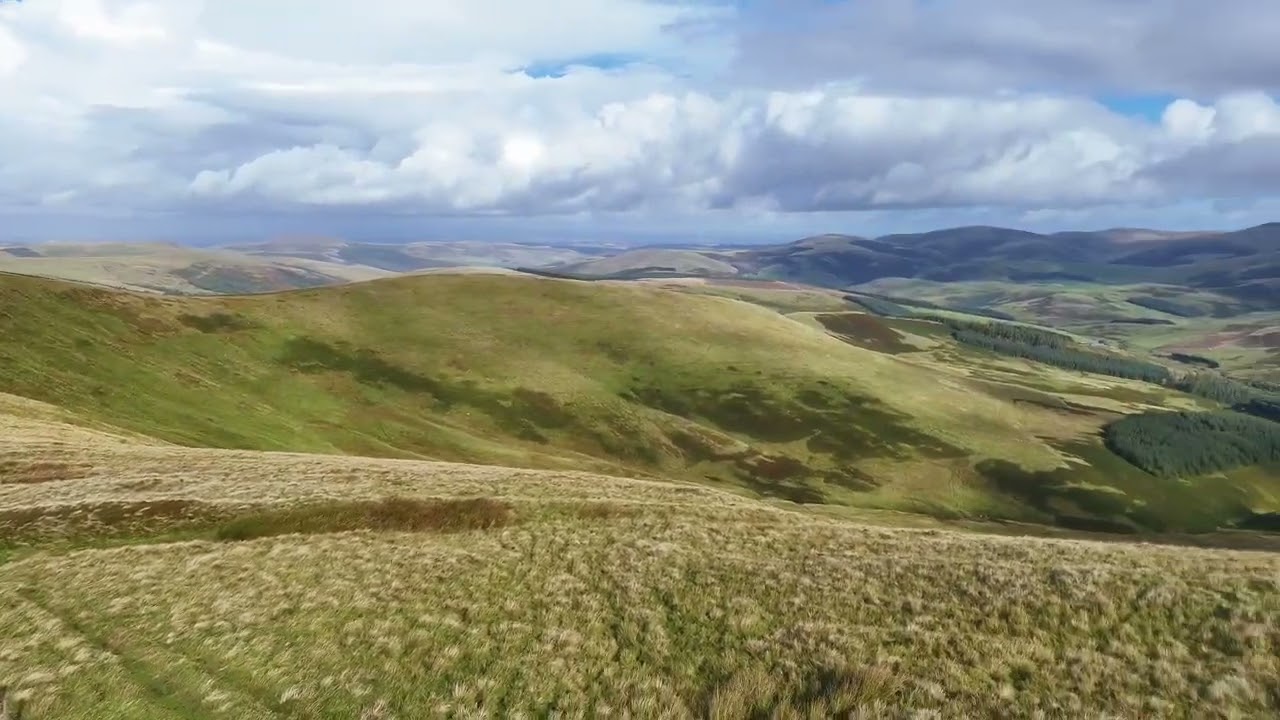 The wonderful Cheviot Hills