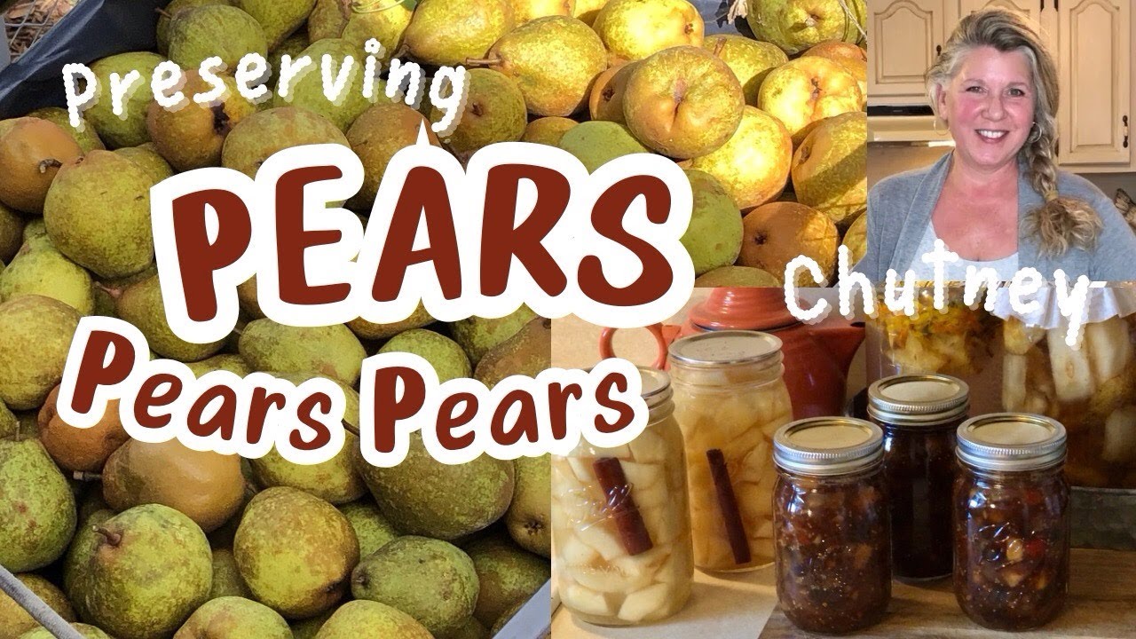 Easy home canned pears  two ways&hellip;. easy pear Chutney, and homemade pear scrap vinegar.