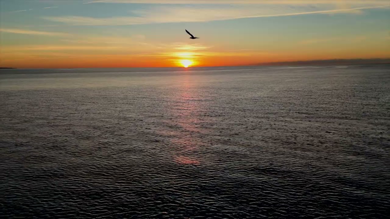 Leaving the Light | Quiet Drone Footage at Dawn