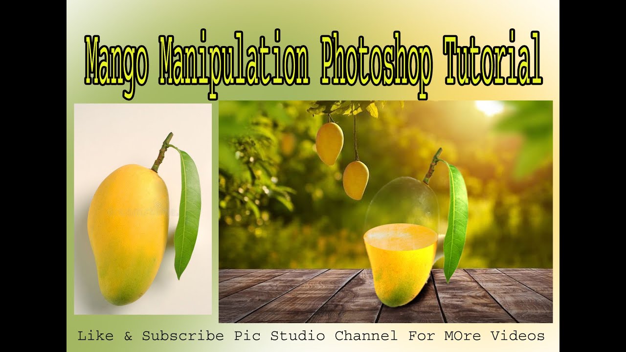 Mango Manipulation Videos Tutorial