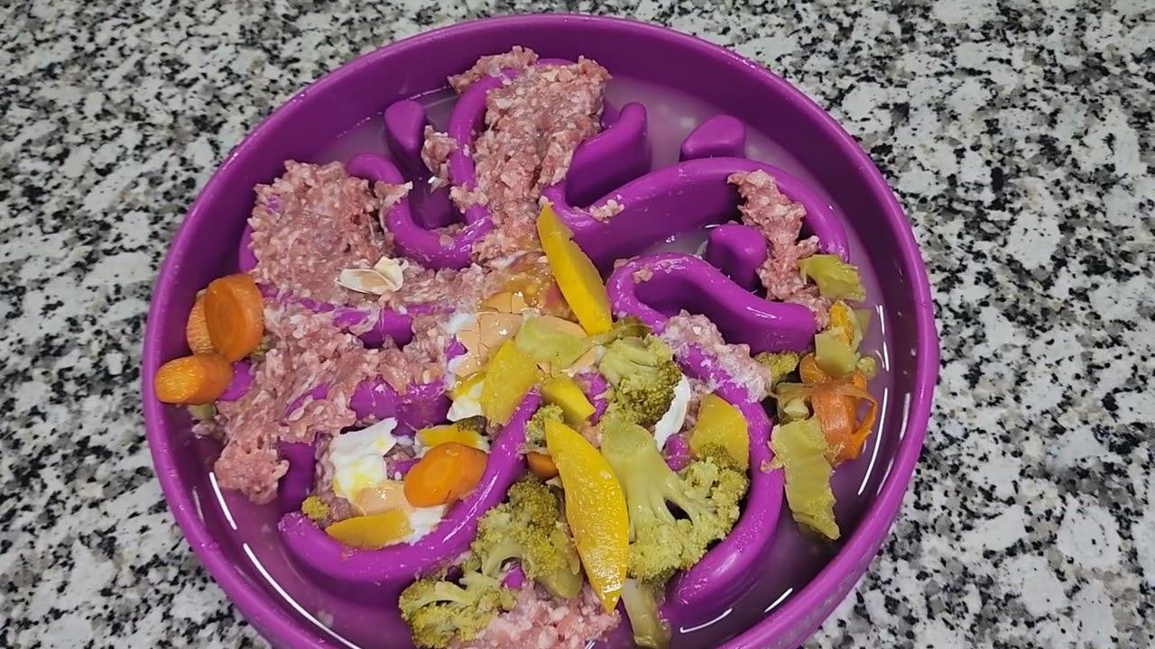 RAW Food breakfast for your Dog | BARF DIET
