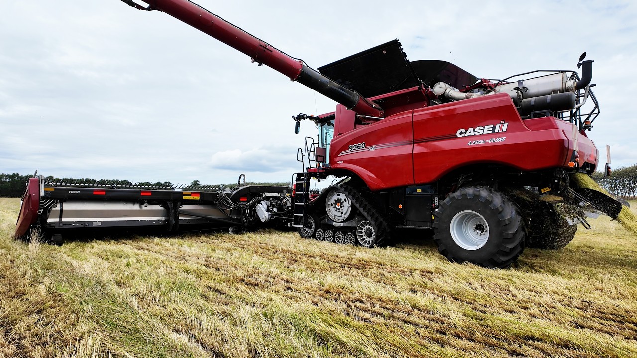 Case IH Axial-Flow 9260 & 50 ft. Wide MacDon FD250 Header Harvesting | Big Harvest