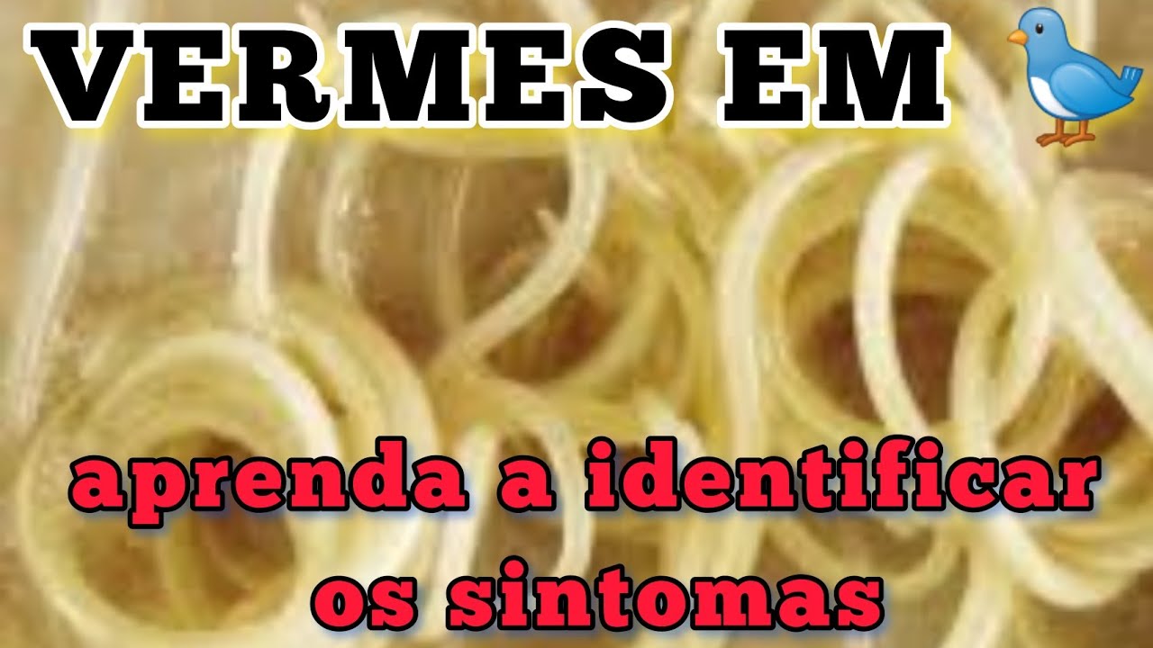 pássaro com verminose. aprenda a identificar e saiba Quais são os vermes mais perigosos para suave