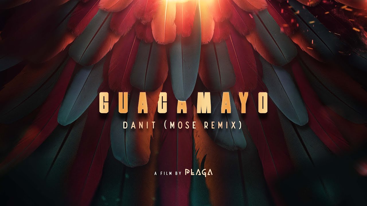 Danit - Guacamayo (Mose Remix) [Film by PLAGA]