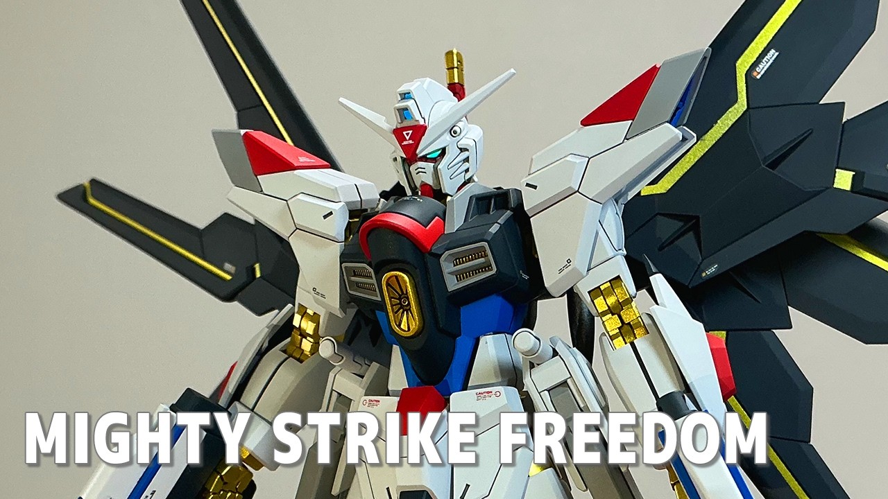 【ガンプラ全塗装】マイティストライクフリーダムをサクっと改修して作るパニおじ