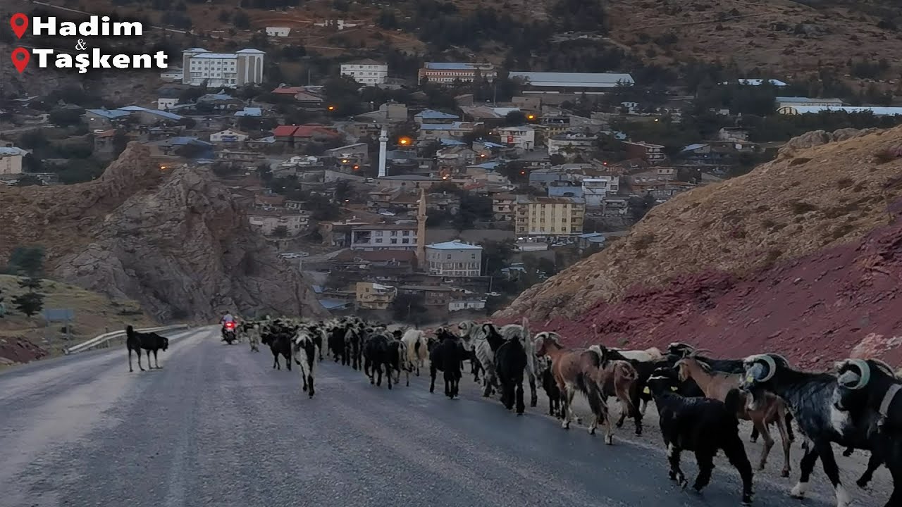 Konya'nın En İlginç İki İlçesi-Konya'yı Geziyorum-Köy Yaşamı-Konya Gezilecek Yerler