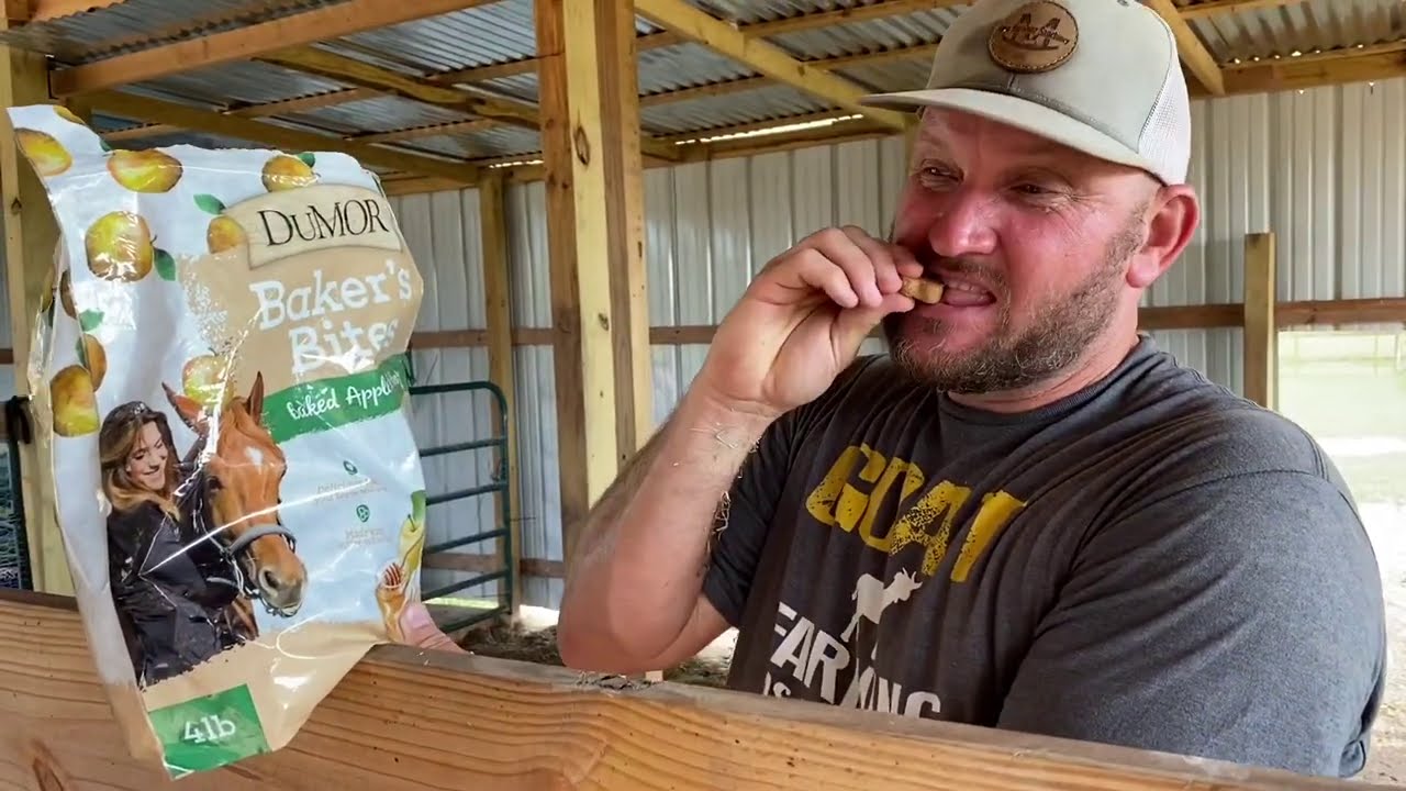 Farm Funnies Compilation