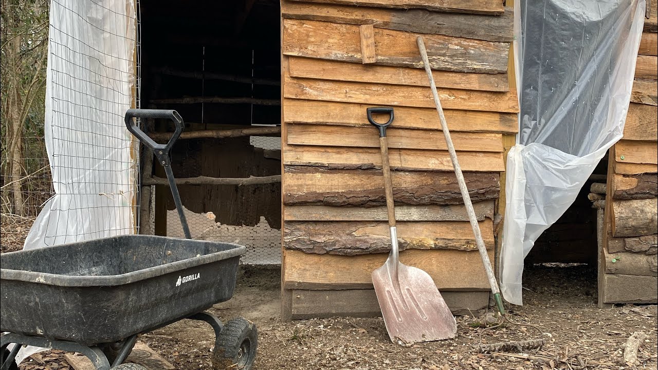 Offgrid HOMESTEAD chicken coop cleaning