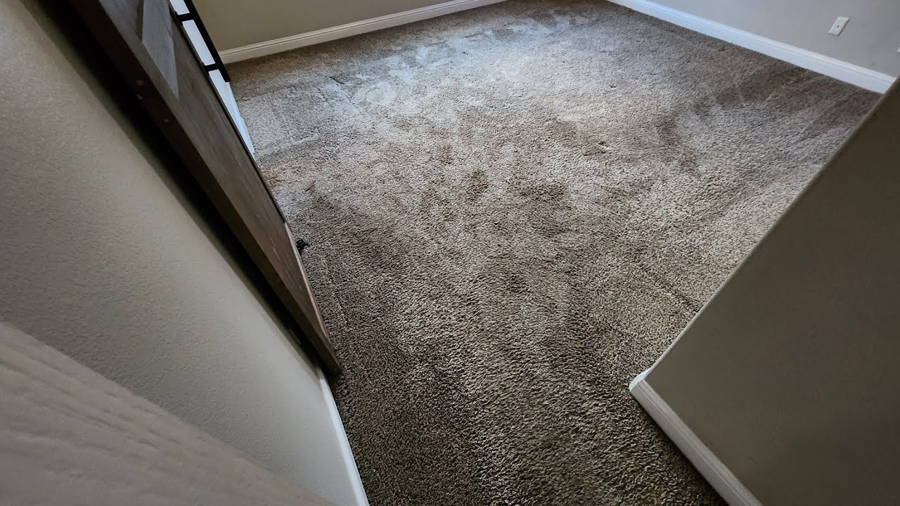 Late Carpet Cleaning Job Turns Satisfying Results