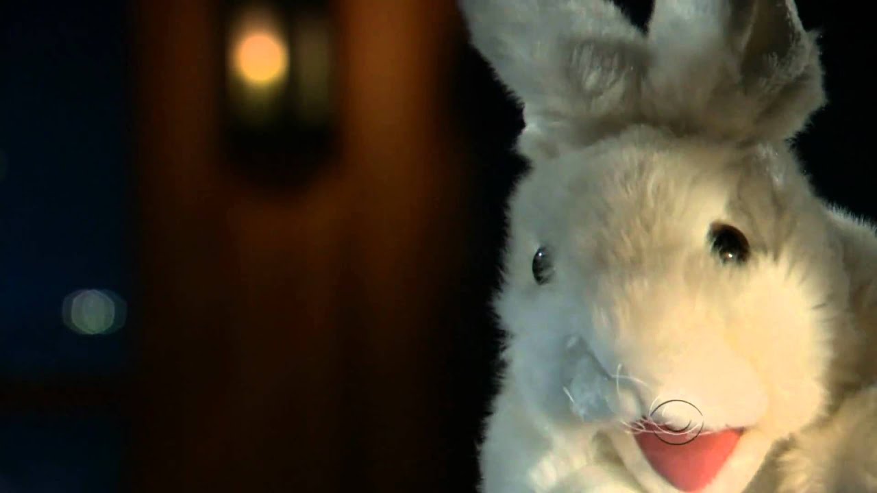 Sid the cussing rabbit is part robot