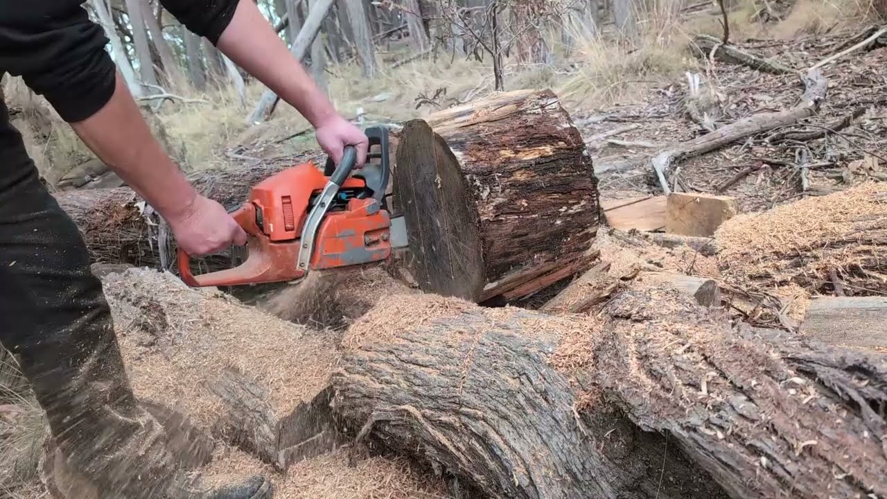 Husqvarna 357XP ripping stringy bark