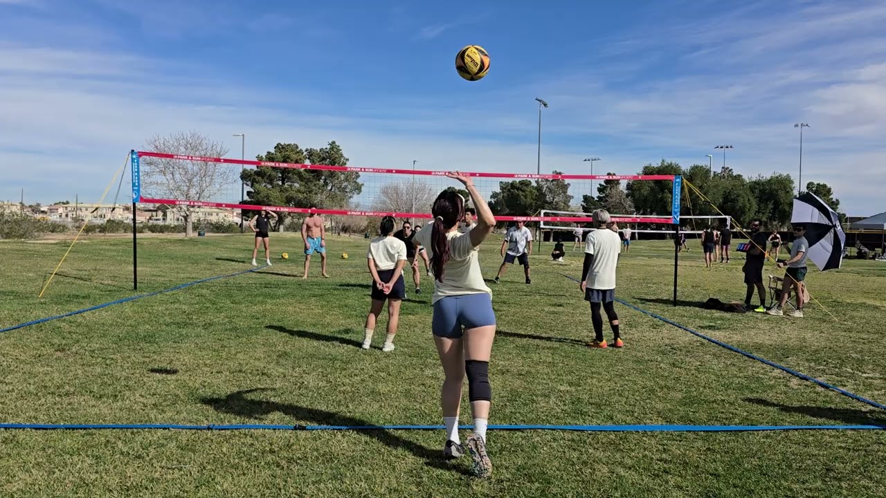 Ferret & Friends Game 1 Coed