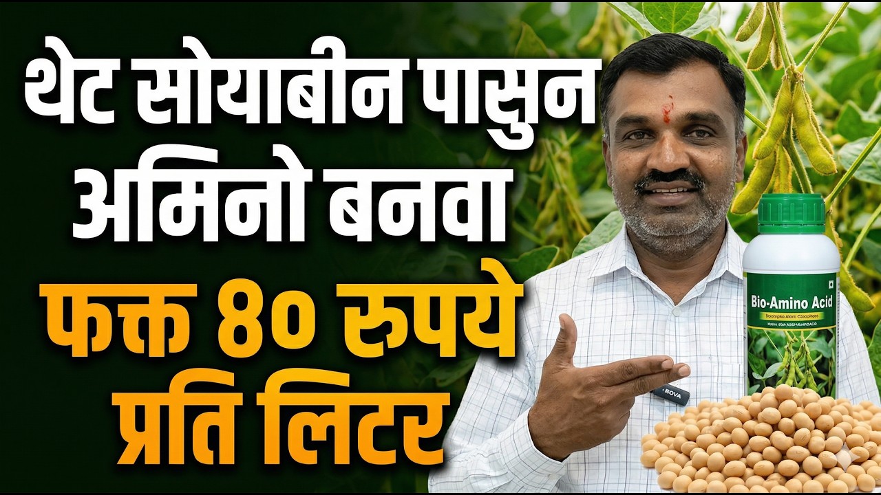 थेट सोयाबीन पासुन अमिनो बनवा फक्त ४० रुपये प्रति लिटर 