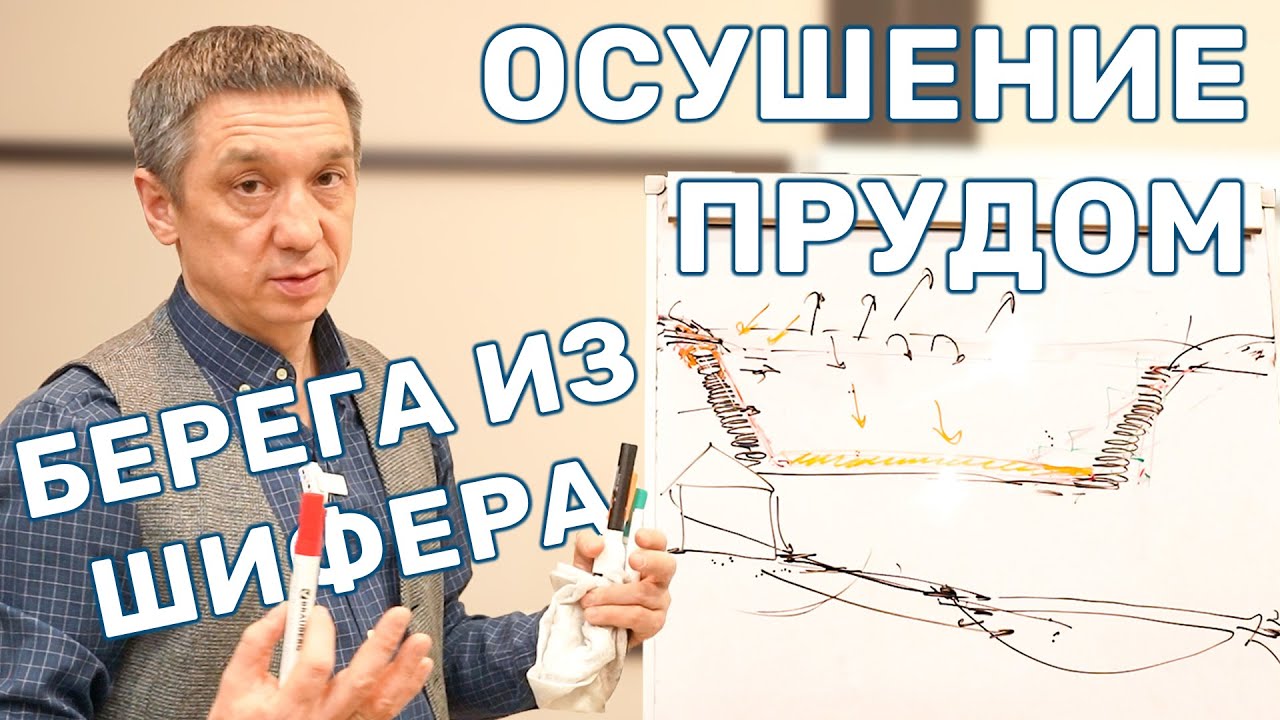 Пруд в низине участка и укрепление берегов. Как можно сделать?