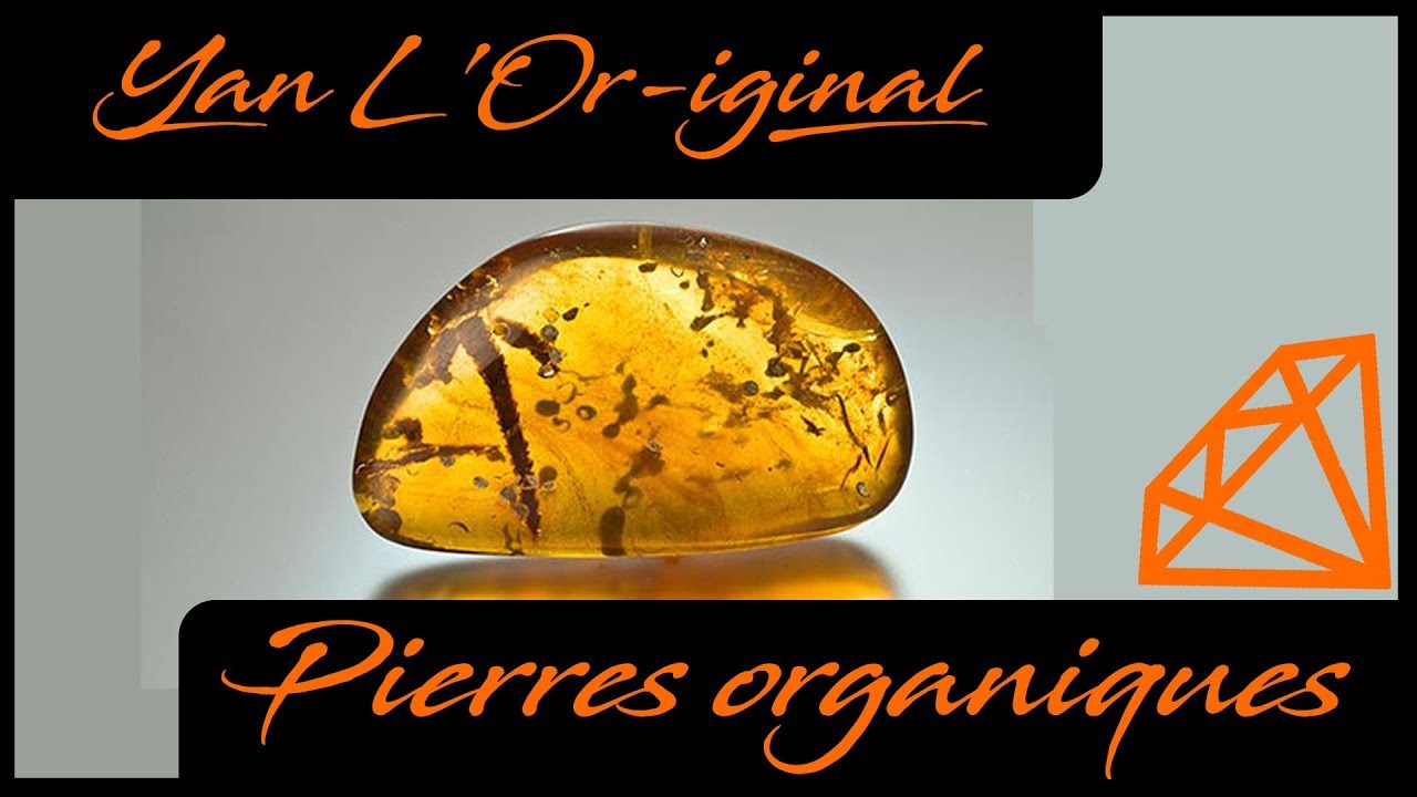 Les pierres organiques : Ambre , corail et perles